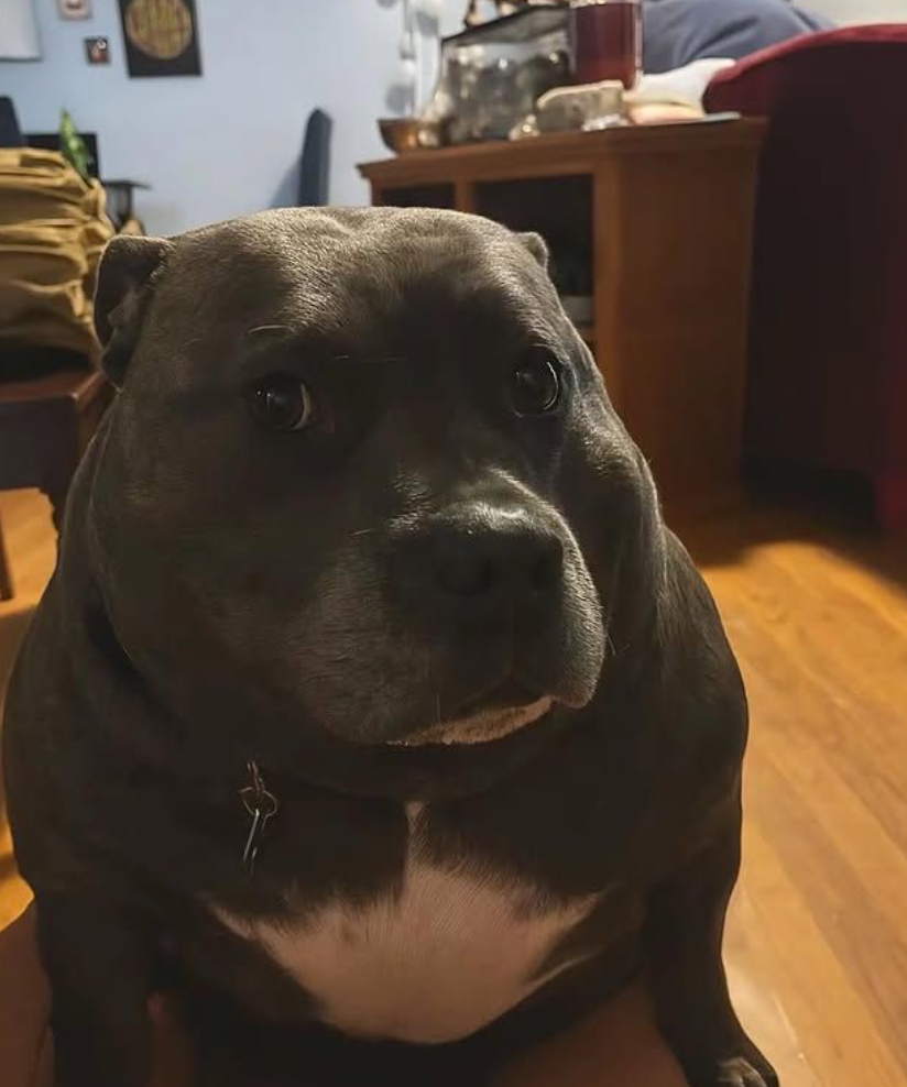 Choco